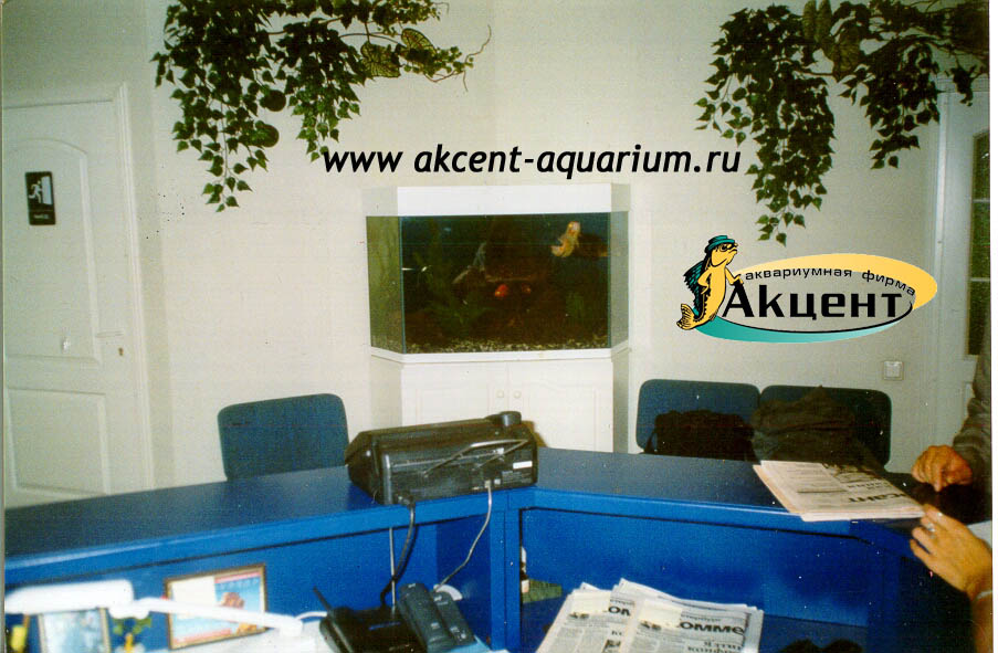 Акцент-аквариум, аквариум угловой 450 литров, 1998 год